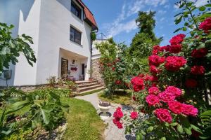 Matillari Guest house, Sevastopol