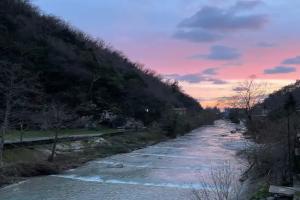 Domik u reki Guest house, Gagra