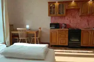 Premium studiya 2 s konditsionerom i boylerom Apartments, Tosno