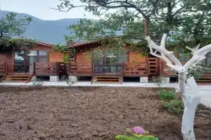 "U morya" Tourist base, Gagra