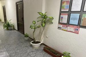 Rus Hotel, Krasnodar
