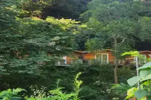 "Domiki na beregu morya" Tourist base, Bagrypsta