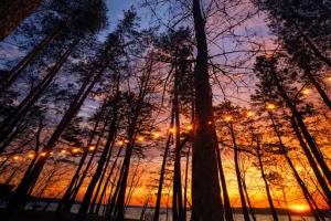 Recreation center "Medzhik Klab", Solnechnogorsk