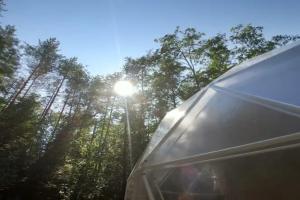 "Bor" Glamping, Kotlas