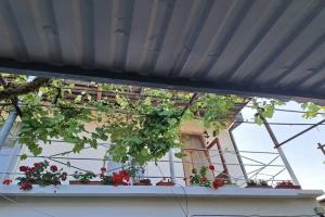 Guest house "Eteri", Gudauta