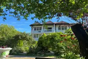 "Green House", Rapitsa