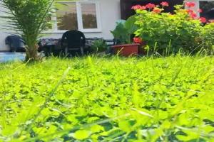 Guest house "U Mariki", Ochamchire