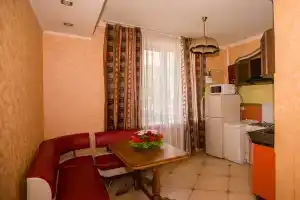 Domashnyaya, svetlaya . Apartments