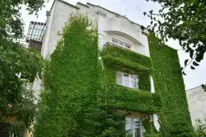 Guest House Letny, Vitino