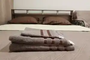 Svetlaya s bolshimi oknami i vysokimi potolkami Apartments, Samara