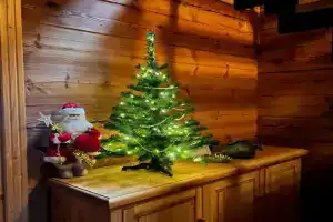 14 v Belovezhskoy pushche na territorii Natsionalnogo parka Guest house, Zakopane