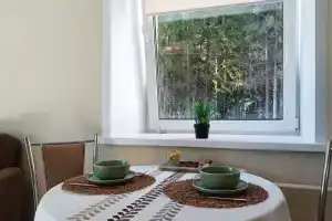 Studiya v zhivopisnom meste s vidom na les Horosho kak doma Apartments