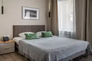 Dvuhmestnyy nomer s 1 krovatyu Komfort Apartments, Elektrostal