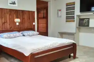 Dvuhmestnyy nomer s 1 krovatyu standart Apartments, Lida