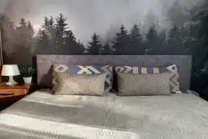 Uyutnaya v stile Les Apartments, Misailova
