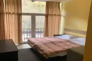 Dvuhmestnyy nomer s 1 krovatyu Komfortnyy nomer s vidom na gory Apartments, Dilijan