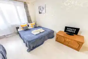 Udobnyy apartament s kachestvennym remontom, Lobnya