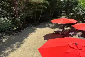 Dvuhmestnyy nomer s 2 otdelnymi krovatyami D Apartments, Makhinjauri