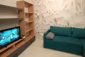 Uyutnaya v tsentre goroda s otdelnoy spalnoy komnatoy Apartments, Schekino