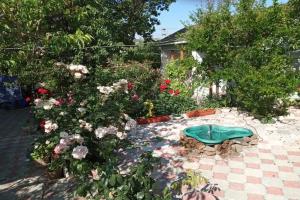 SOLNYShKO v Alushtinskom r-ne v sele Solnechnogorskom Guest house, Alushta