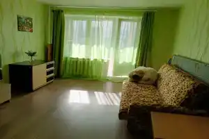 Uyutnaya v tsentre goroda Apartments, Kondopoga