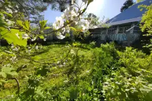 LadoGa Banya Guest house, Tarusa
