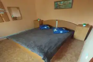 Dvuhmestnyy nomer s 1 krovatyu standart Apartments, Berdyansk