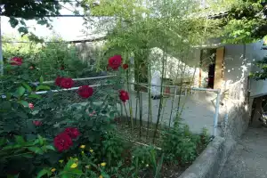 U dyadi Vani Guest house, Sevastopol