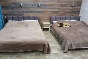 " kalinina 20 "nomer lyuks " 8 a " Guest house, Yeysk