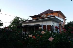«Rose» Guest house, Yeysk