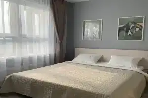 Uyutnaya ryadom s aeroportom Tolmachevo Apartments, Ob'