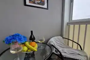 Uyutnaya v Sadovom s vidom na gorod Apartments