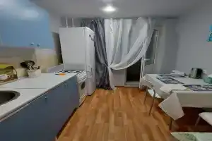 Uyutnaya v tsentre goroda Apartments, Frjasino