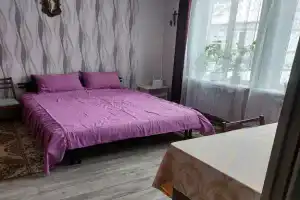 Uyutnaya v tsentre goroda Apartments