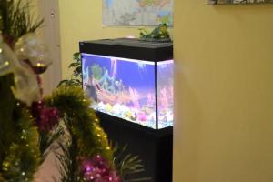 Hostel Aviator, Moscow