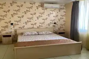 Dvuhmestnyy nomer s 1 krovatyu uluchshennyy Apartments, Berdyansk