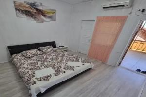 Dvuhmestnyy nomer s 1 krovatyu standart Apartments, Alakhadzi