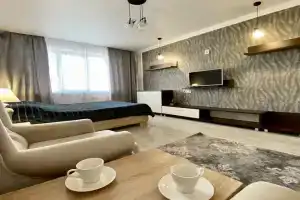 v tsentralnom rayone goroda Apartments, Kursk