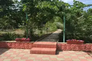 Dacha na beregu morya v Derbente 89640005010 Cottage