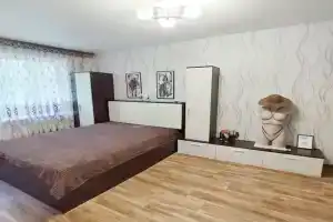 Uyutnaya v tsentre goroda Apartments, Otradnoye