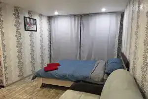 Malenkaya uyutnaya v tsentre Apartments