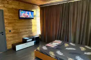 Semeynyy nomer standart Apartments, Balashikha