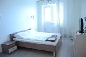 Aurora Home, 1-komnatnaya u ledovogo dvortsa s teplymi polami Apartments, Dmitrov