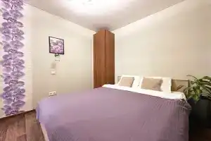 Prostornaya i uyutnaya evrodushka Apartments, Domodedovo