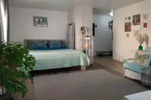 Stilnye apartamenty v istoricheskom tsentrea, Lipetsk