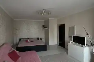 Apartments near Dvortsovyy Park