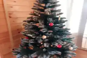 Family House, Pereslavl-Zalessky