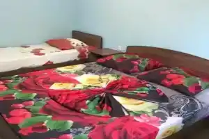 Tryohmestnyy nomer standart Apartments, Alakhadzi