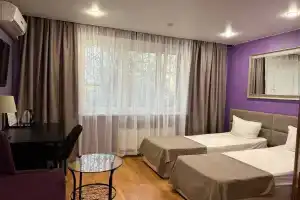 Dvuhmestnyy nomer s 2 otdelnymi krovatyami uluchshennyy Apartments, Gavrikovo