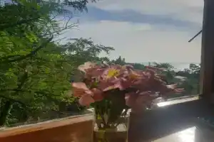 Uyutnaya na beregu morya dlya semeynogo otdyha Apartments, Volkonka